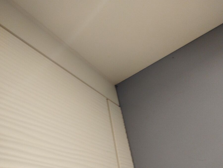 ameisen_vertreiben_bekaempfen_entfernen