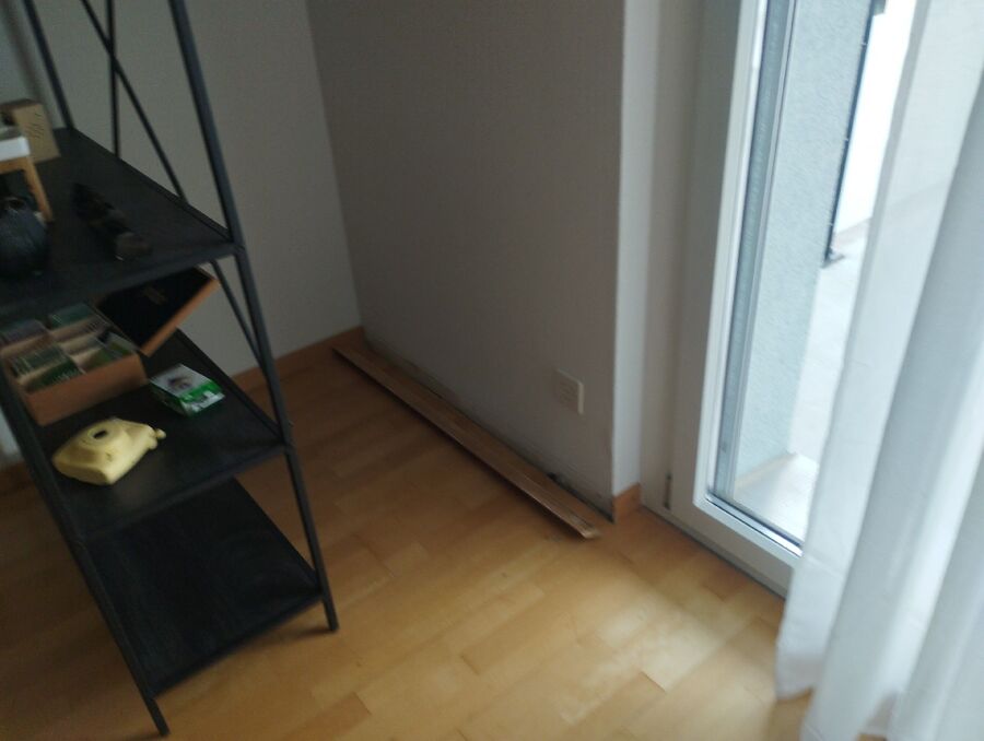 ameisen_vertreiben_bekaempfen_entfernen