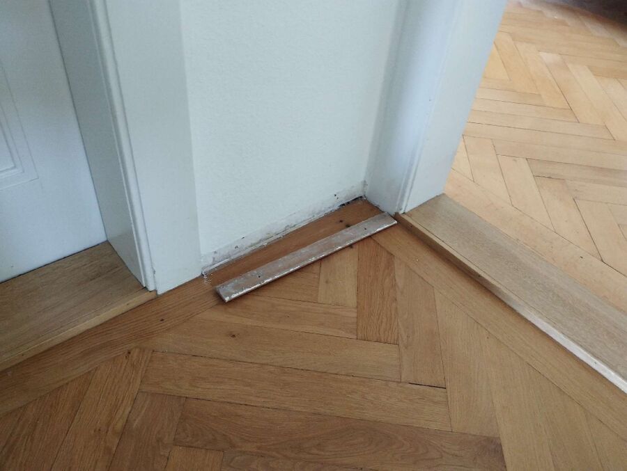 ameisen_vertreiben_bekaempfen_entfernen