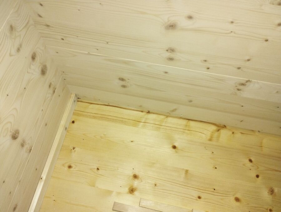 ameisen_vertreiben_bekaempfen_entfernen