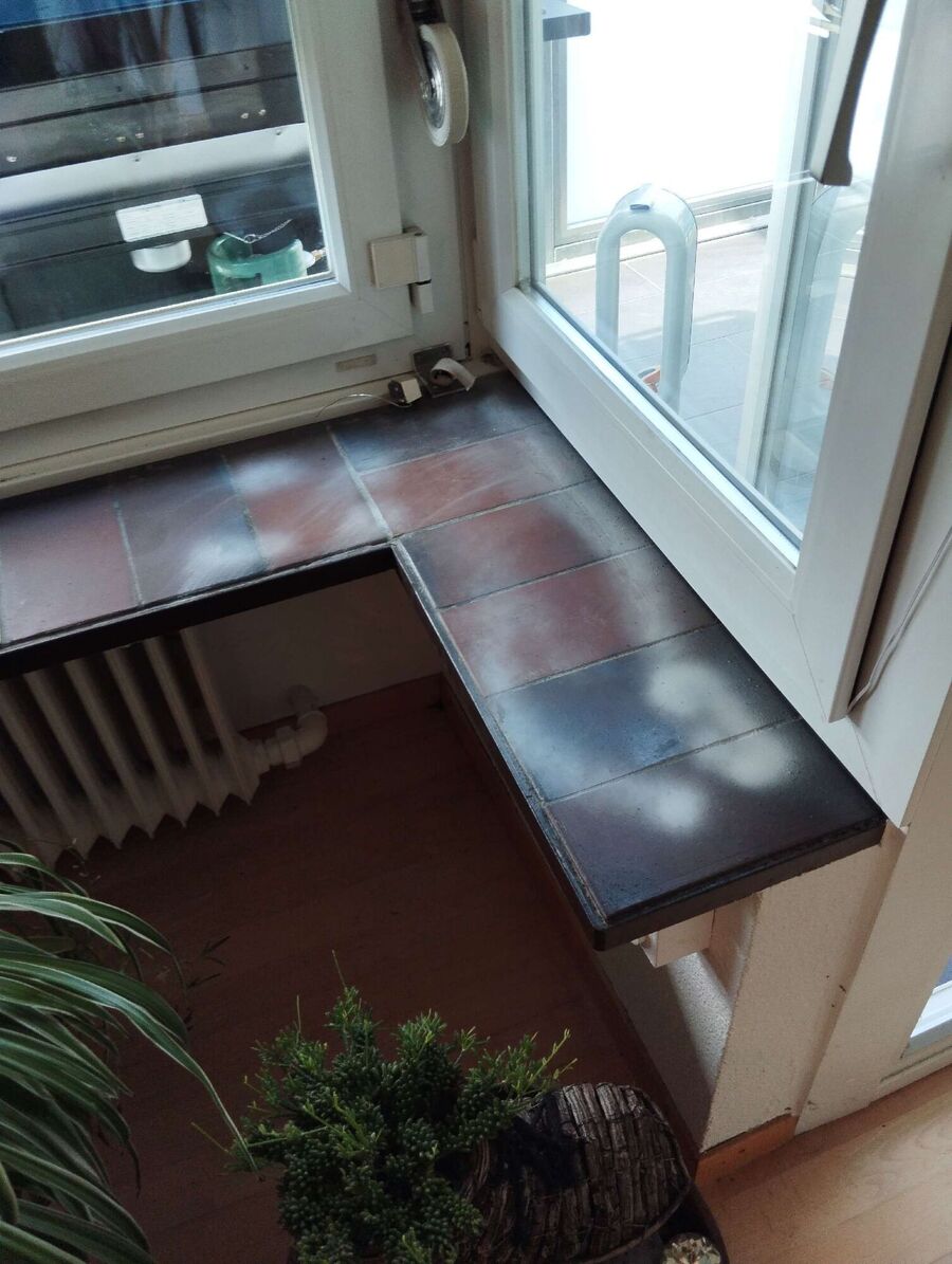 ameisen_vertreiben_bekaempfen_entfernen