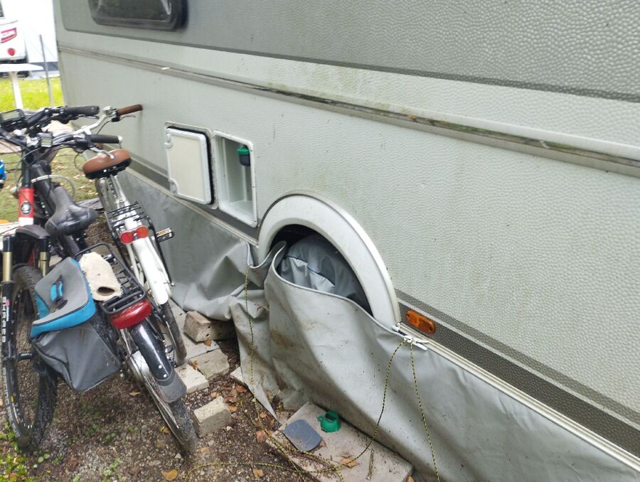 ameisen_vertreiben_bekaempfen_entfernen