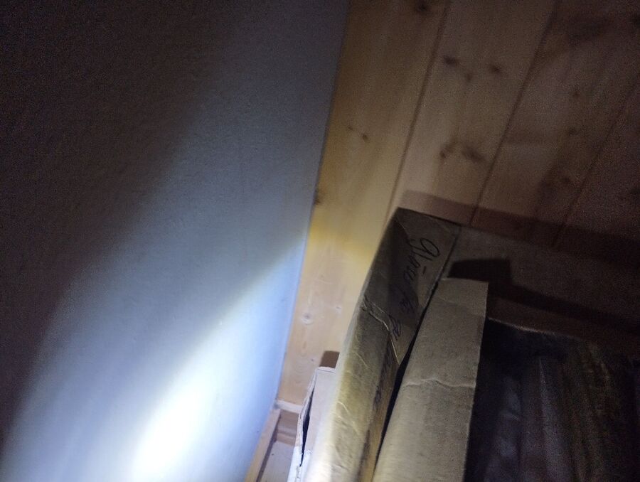 ameisen_vertreiben_bekaempfen_entfernen