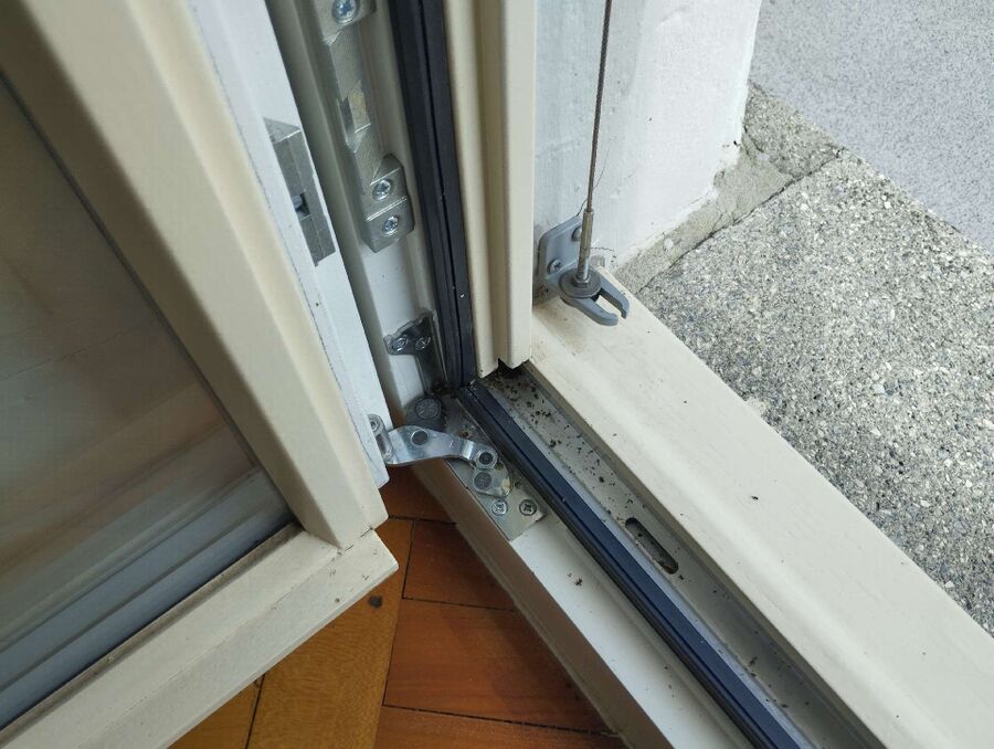 ameisen_vertreiben_bekaempfen_entfernen