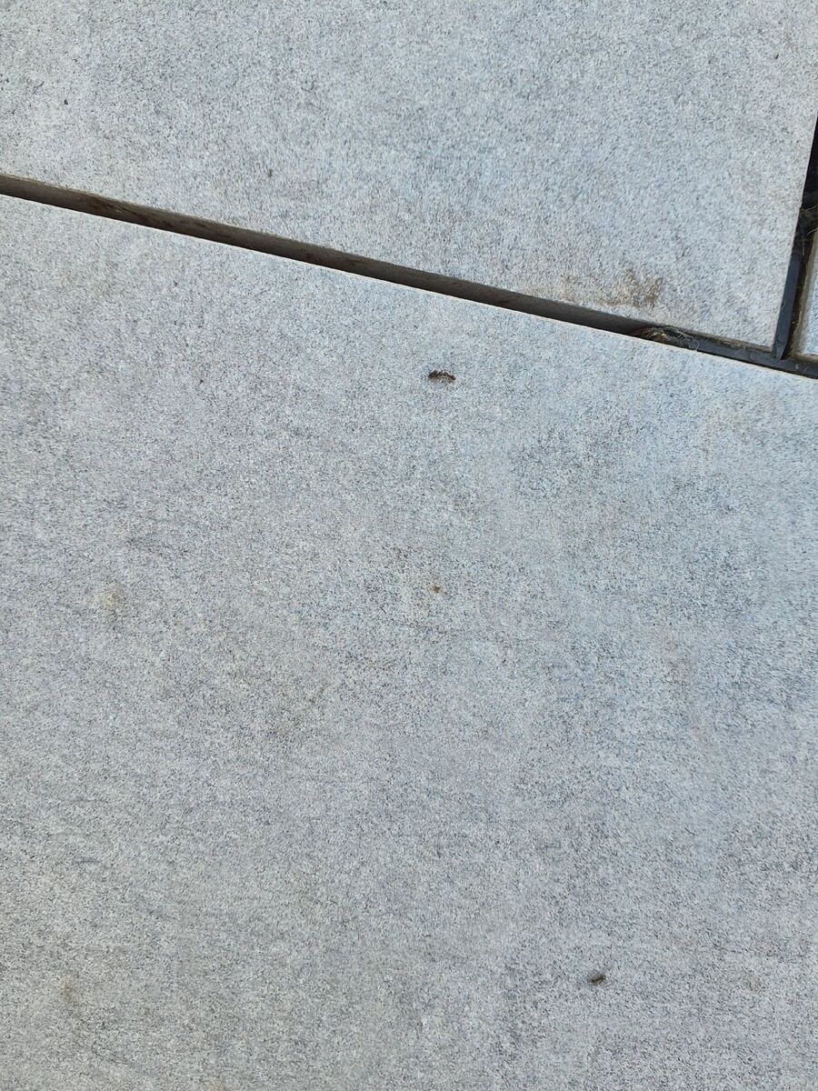 ameisen_vertreiben_bekaempfen_entfernen