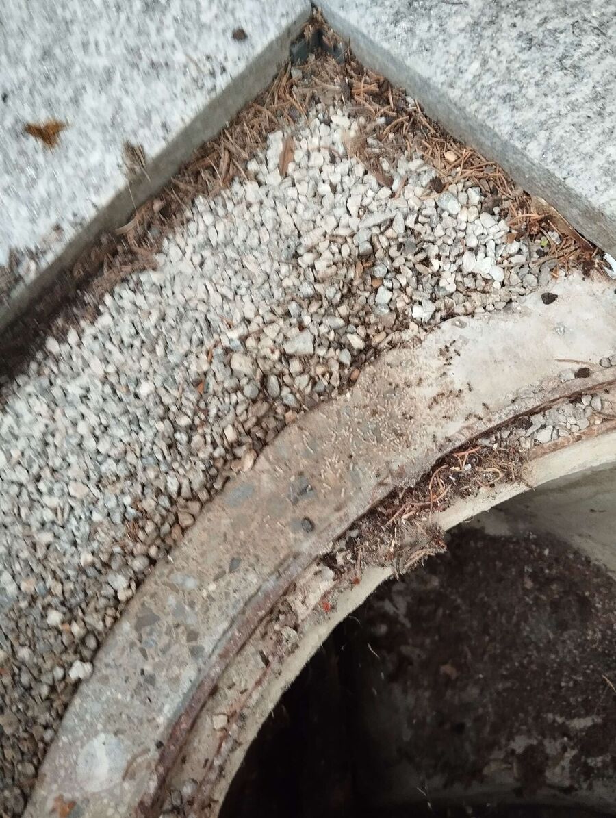 ameisen_vertreiben_bekaempfen_entfernen