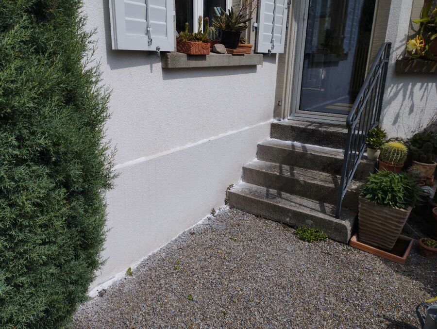 ameisen_vertreiben_bekaempfen_entfernen