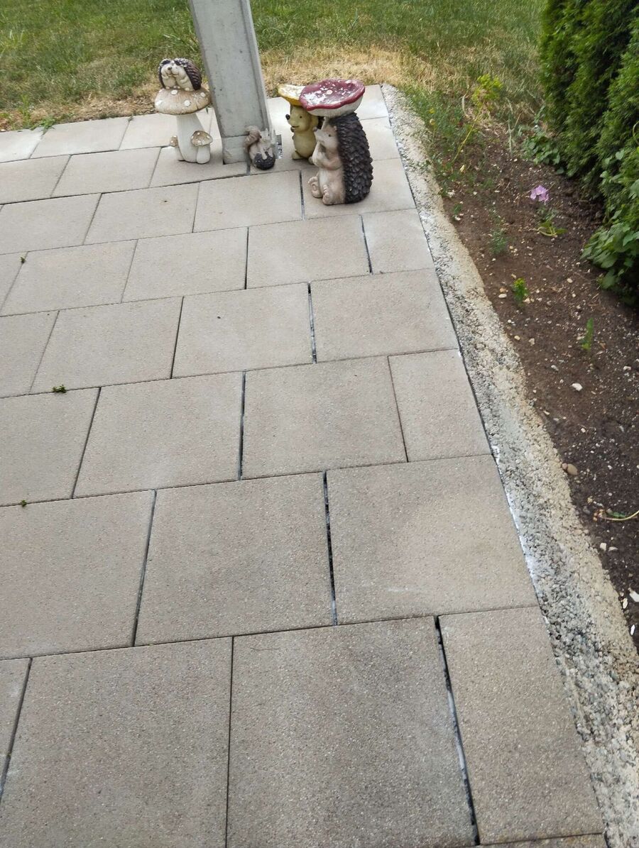 ameisen_vertreiben_bekaempfen_entfernen