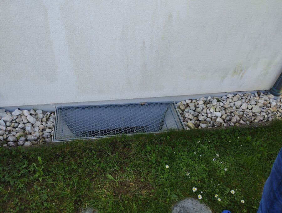 ameisen_vertreiben_bekaempfen_entfernen