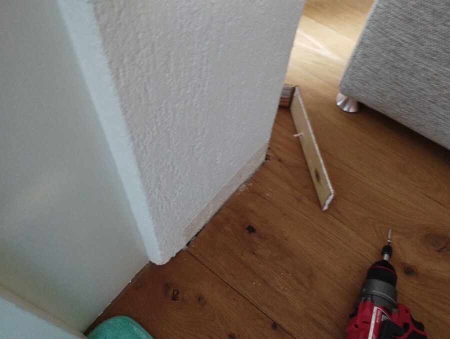 ameisen_vertreiben_bekaempfen_entfernen