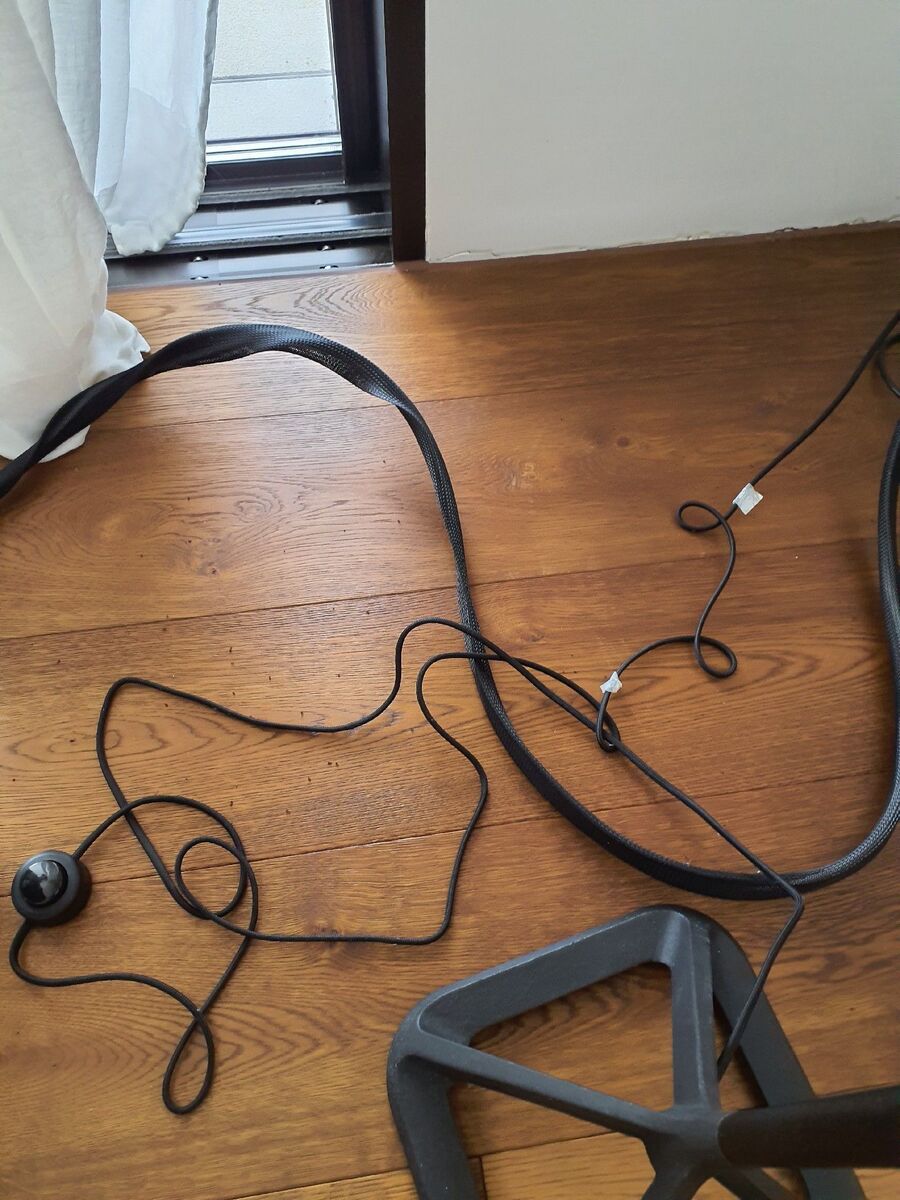 ameisen_vertreiben_bekaempfen_entfernen