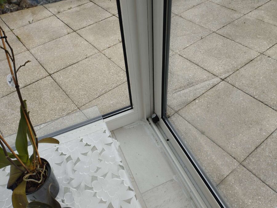 ameisen_vertreiben_bekaempfen_entfernen