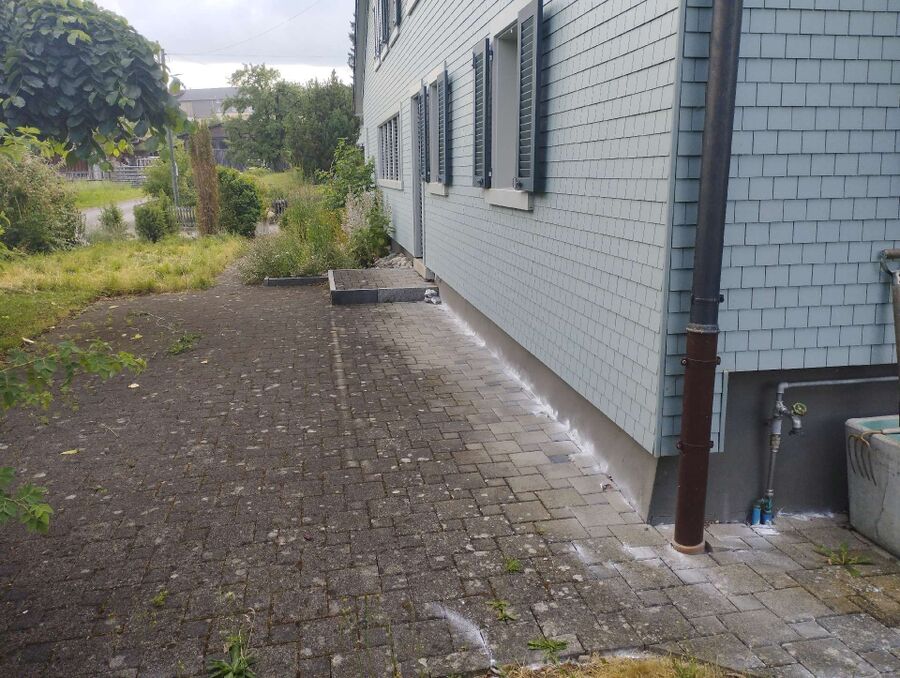 ameisen_vertreiben_bekaempfen_entfernen