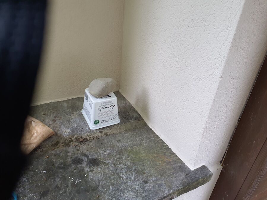 ameisen_vertreiben_bekaempfen_entfernen