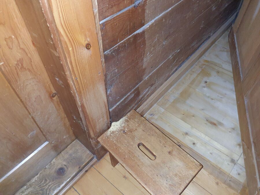 ameisen_vertreiben_bekaempfen_entfernen