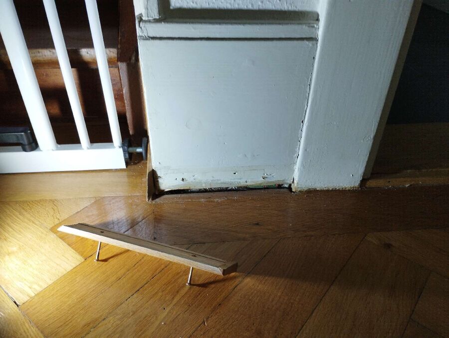 ameisen_vertreiben_bekaempfen_entfernen