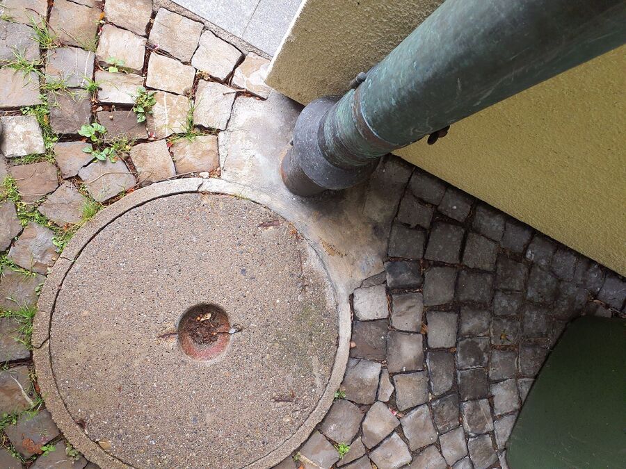 ameisen_vertreiben_bekaempfen_entfernen