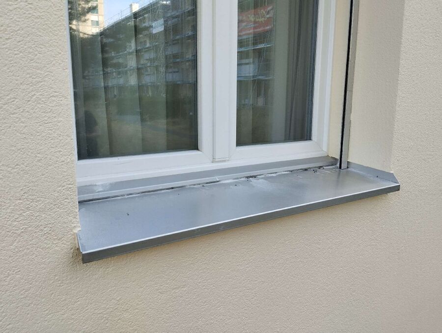 ameisen_vertreiben_bekaempfen_entfernen