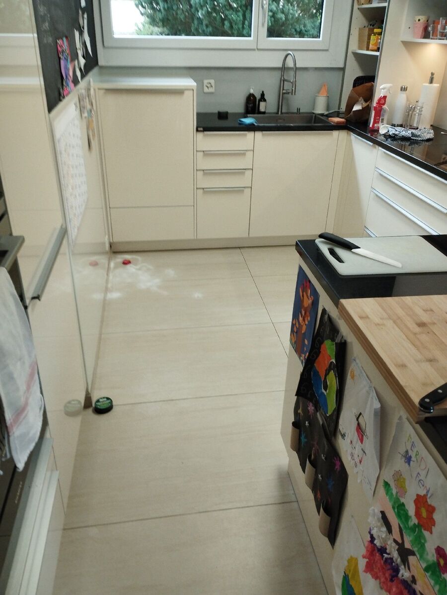 ameisen_vertreiben_bekaempfen_entfernen