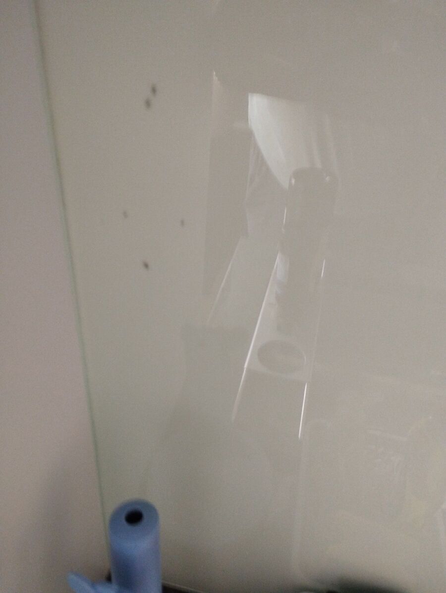 ameisen_vertreiben_bekaempfen_entfernen