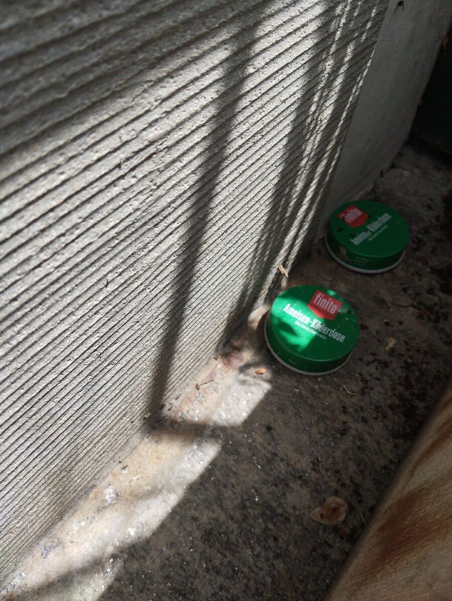 ameisen_vertreiben_bekaempfen_entfernen