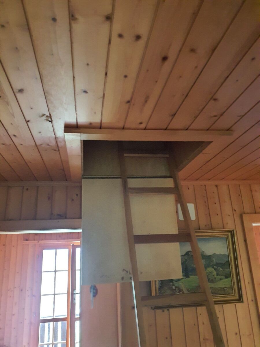 ameisen_vertreiben_bekaempfen_entfernen