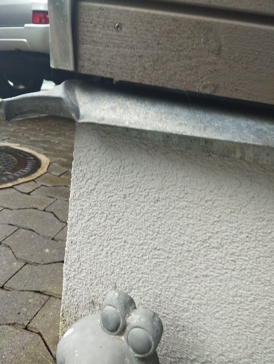 ameisen_vertreiben_bekaempfen_entfernen