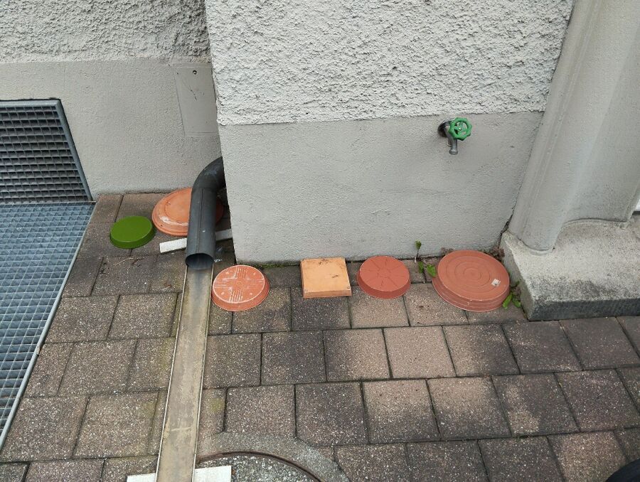 ameisen_vertreiben_bekaempfen_entfernen