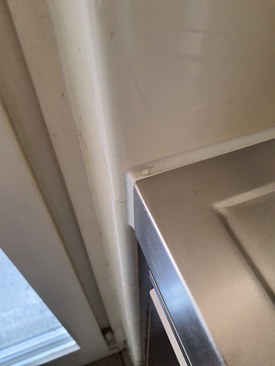 ameisen_vertreiben_bekaempfen_entfernen