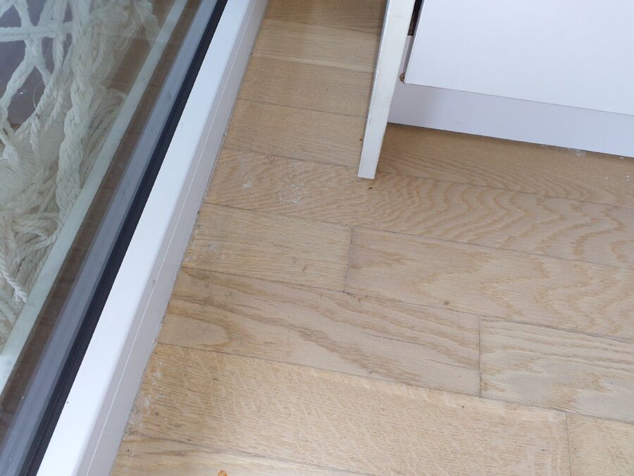 ameisen_vertreiben_bekaempfen_entfernen