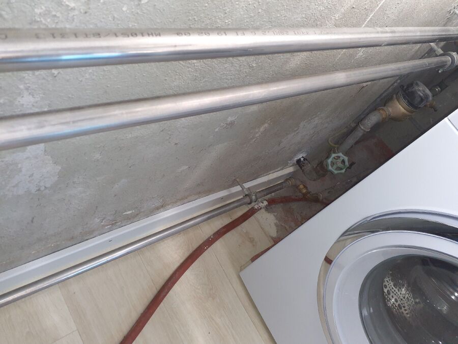 ameisen_vertreiben_bekaempfen_entfernen