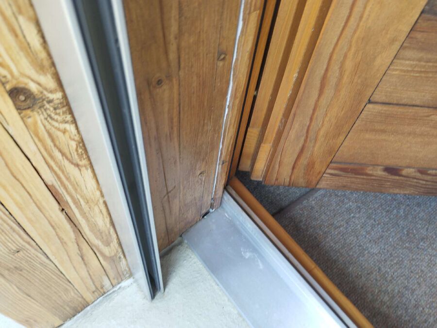 ameisen_vertreiben_bekaempfen_entfernen