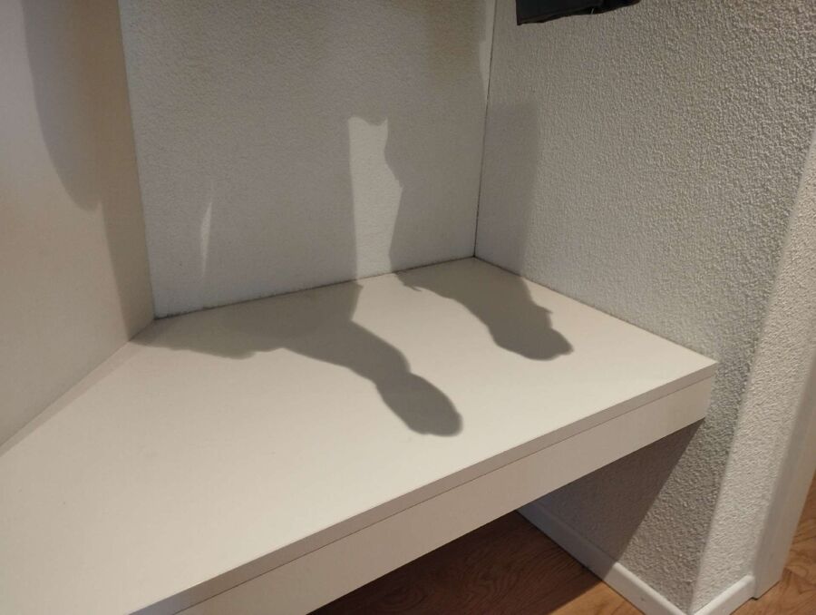 ameisen_vertreiben_bekaempfen_entfernen