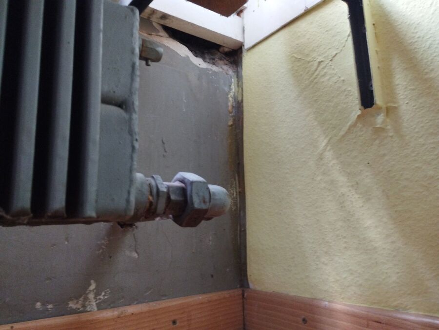 ameisen_vertreiben_bekaempfen_entfernen