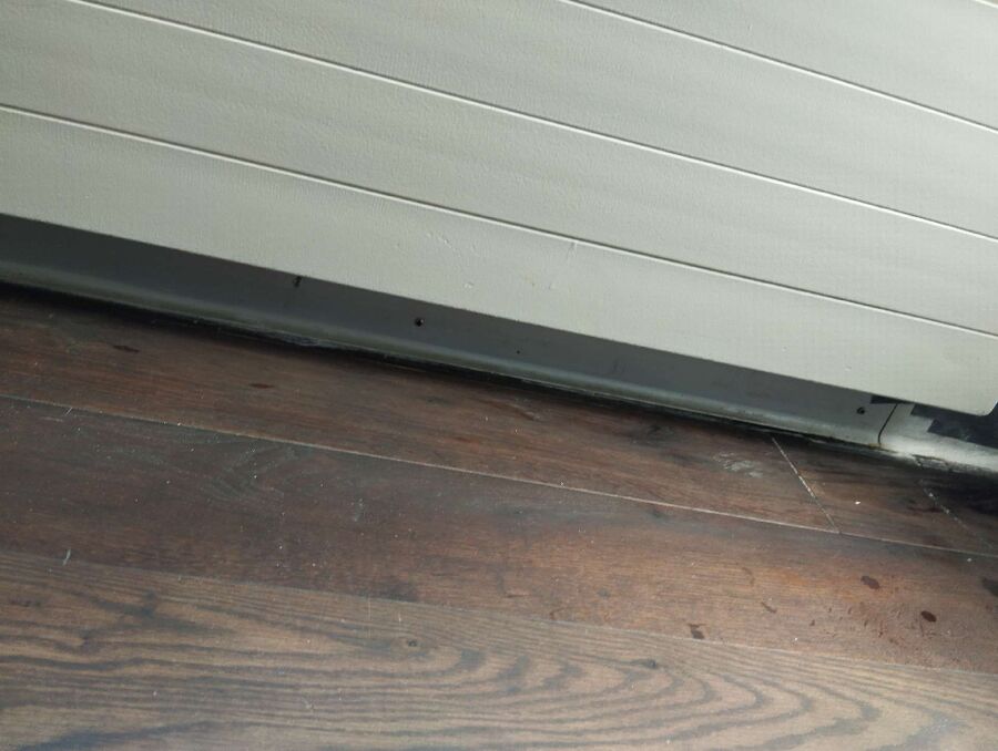 ameisen_vertreiben_bekaempfen_entfernen