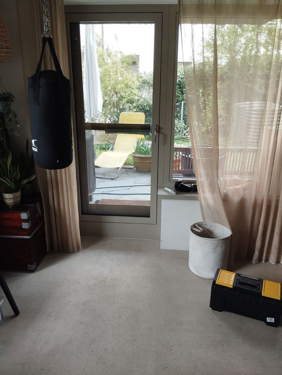 ameisen_vertreiben_bekaempfen_entfernen