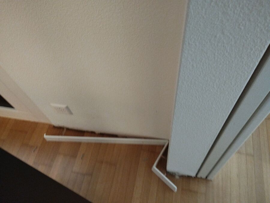 ameisen_vertreiben_bekaempfen_entfernen