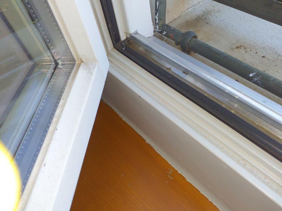 ameisen_vertreiben_bekaempfen_entfernen