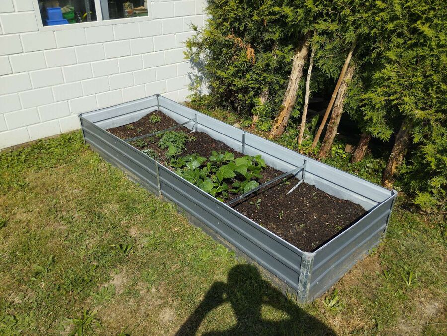 ameisen_vertreiben_bekaempfen_entfernen