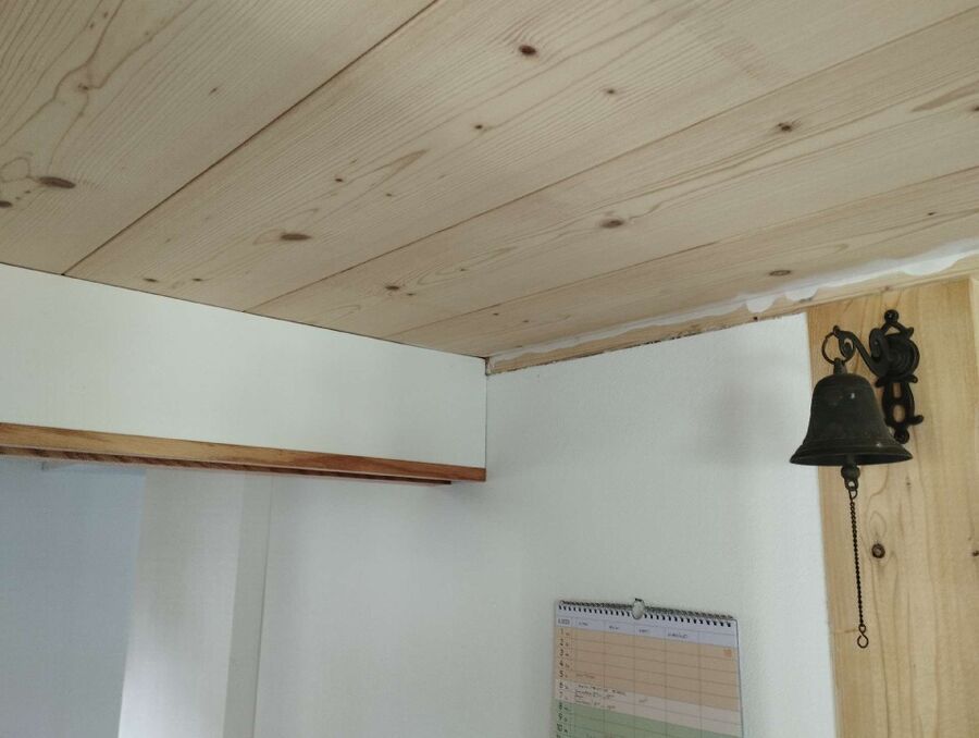 ameisen_vertreiben_bekaempfen_entfernen