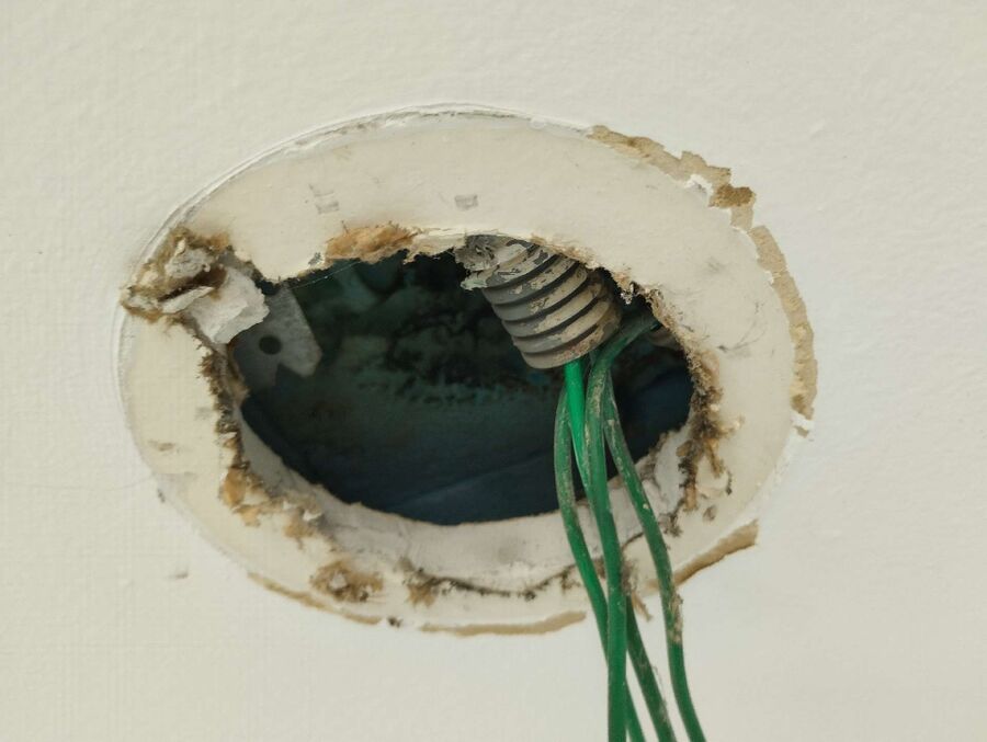 ameisen_vertreiben_bekaempfen_entfernen