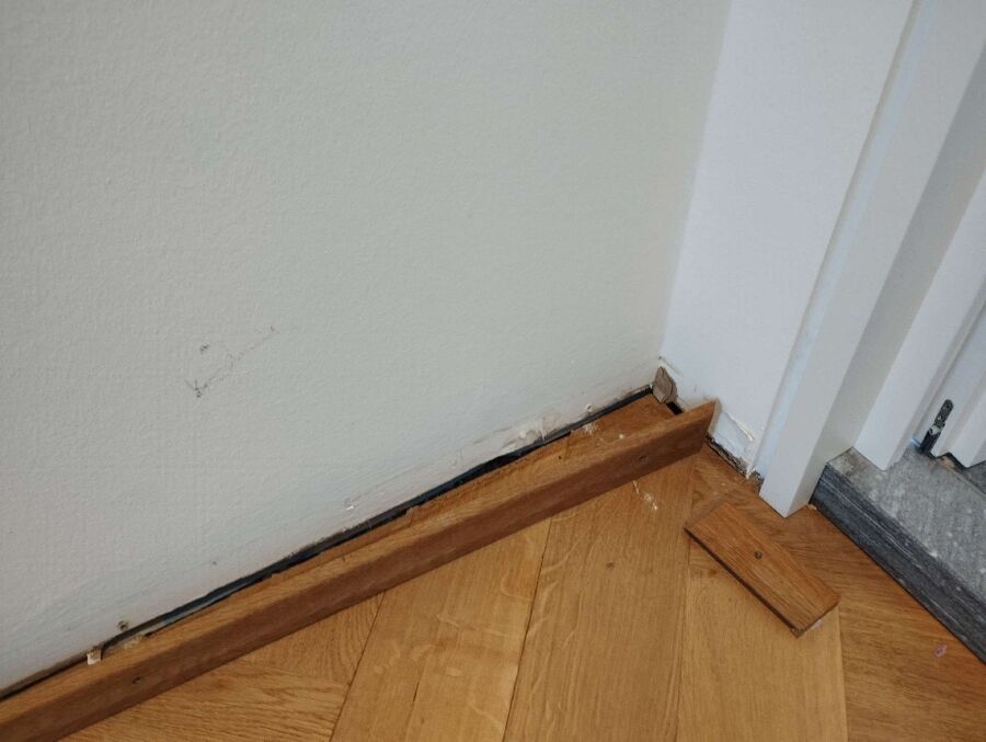 ameisen_vertreiben_bekaempfen_entfernen