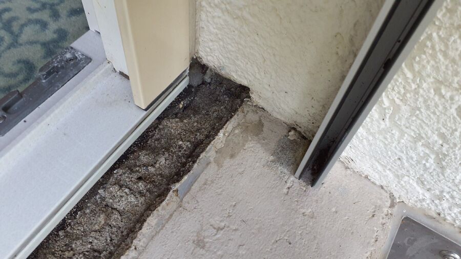 ameisen_vertreiben_bekaempfen_entfernen