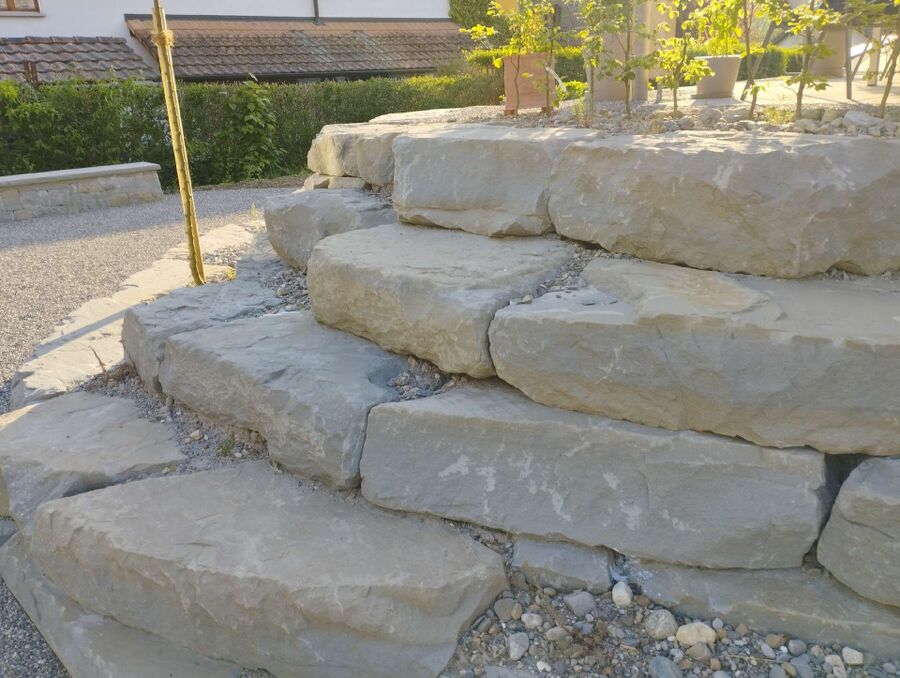 ameisen_vertreiben_bekaempfen_entfernen