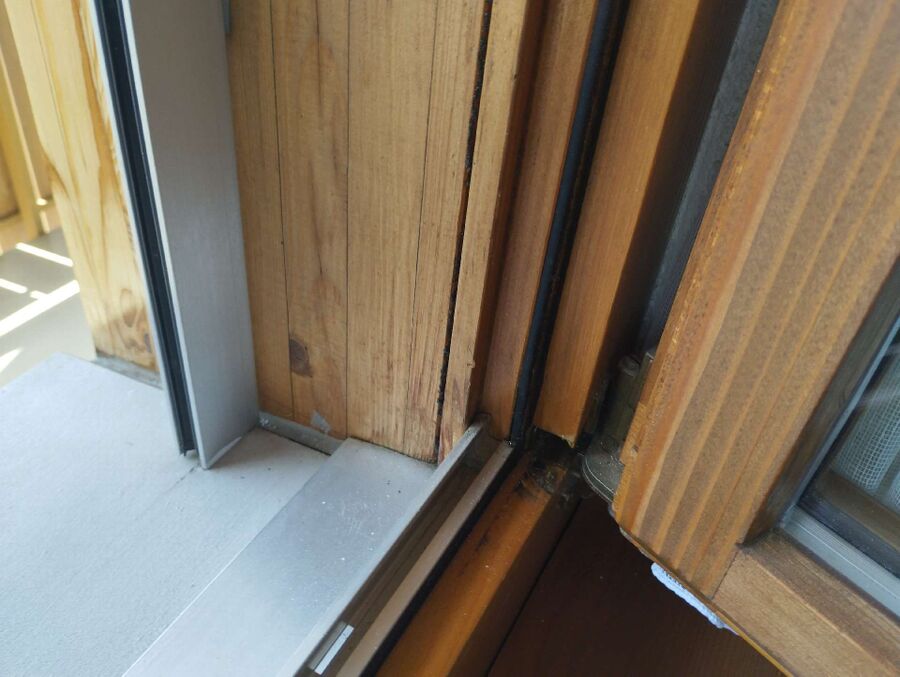 ameisen_vertreiben_bekaempfen_entfernen