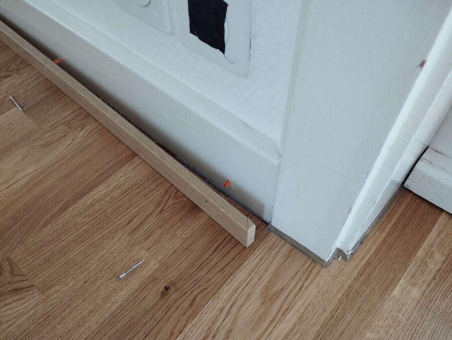 ameisen_vertreiben_bekaempfen_entfernen