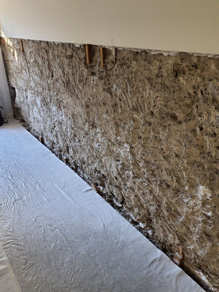 ameisen_vertreiben_bekaempfen_entfernen