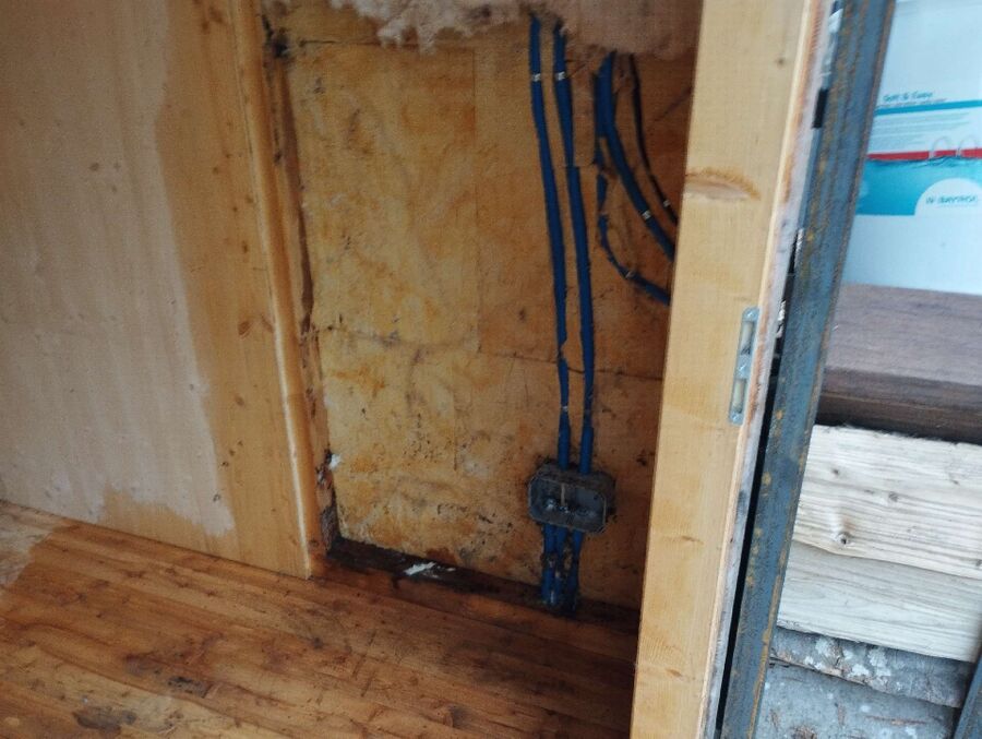 ameisen_vertreiben_bekaempfen_entfernen