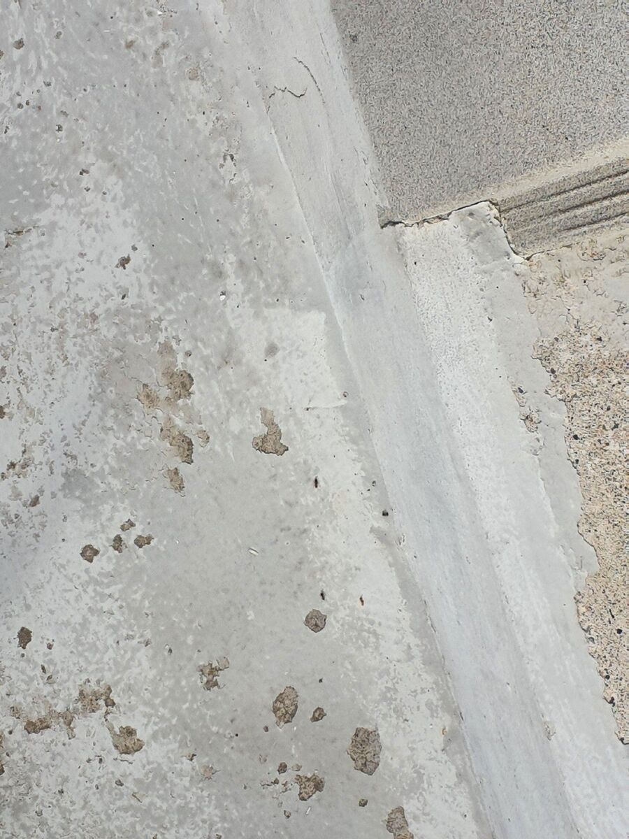 ameisen_vertreiben_bekaempfen_entfernen