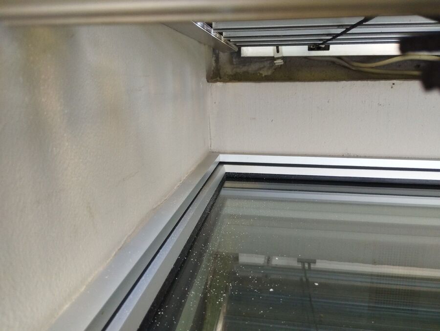 ameisen_vertreiben_bekaempfen_entfernen